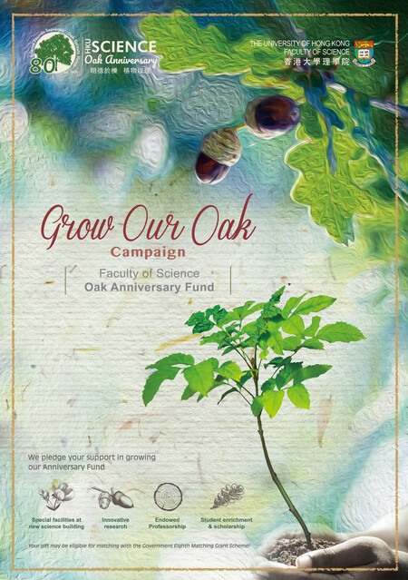 grow oak leaflet